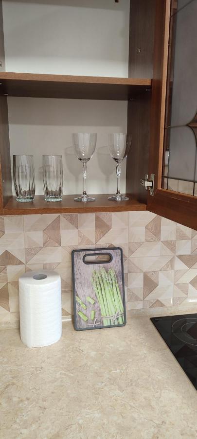 Sweethomeapartment Kamianets-Podilskyi Luaran gambar
